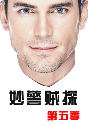 妙警贼探第5季