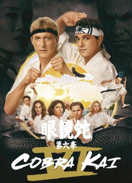 眼镜蛇第6季