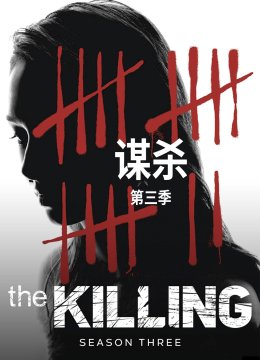 谋杀第3季