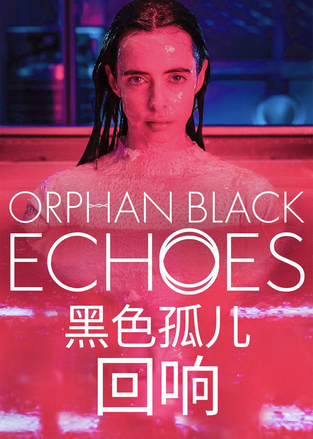 黑色孤儿回响