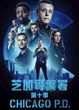 芝加哥警署第10季
