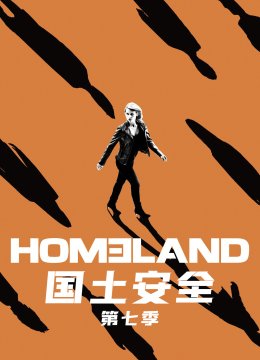 国土安全第7季