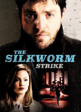 斯特莱克探案集第2季