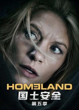 国土安全第5季