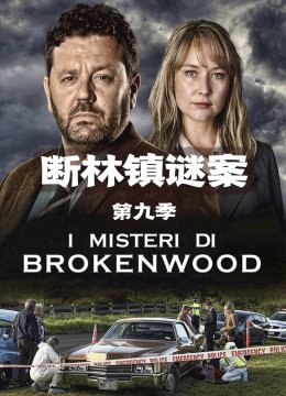 断林镇谜案第9季