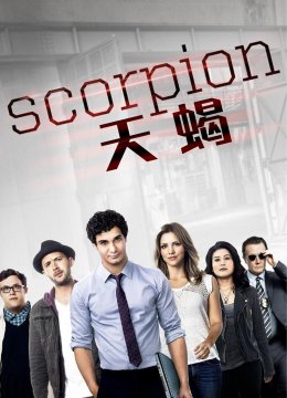 天蝎第2季