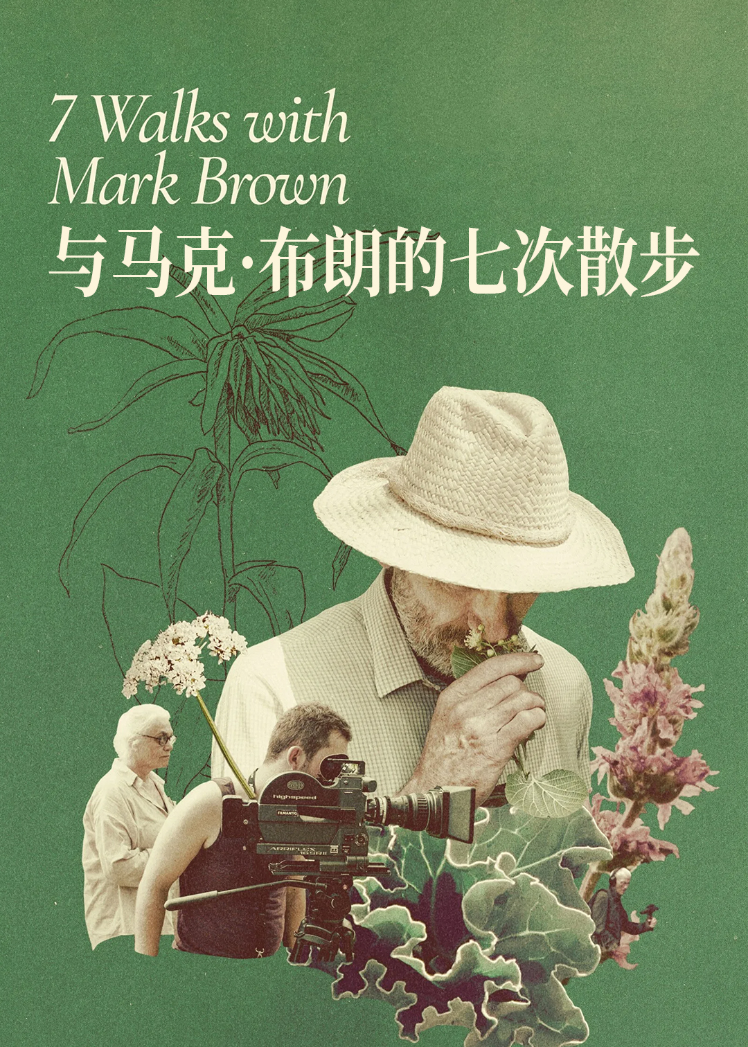 与马克布朗的七次散步