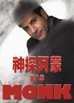 神探阿蒙第8季