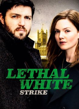 斯特莱克探案集第4季