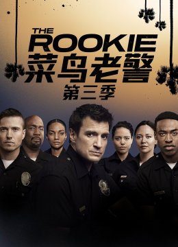 菜鸟老警第3季