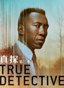 真探第3季