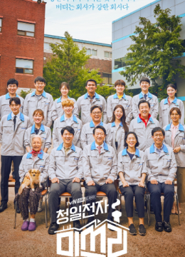 清日语电子李小姐