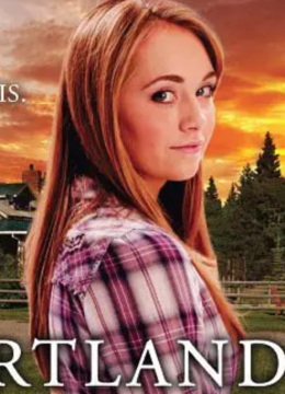 心灵之地第11季