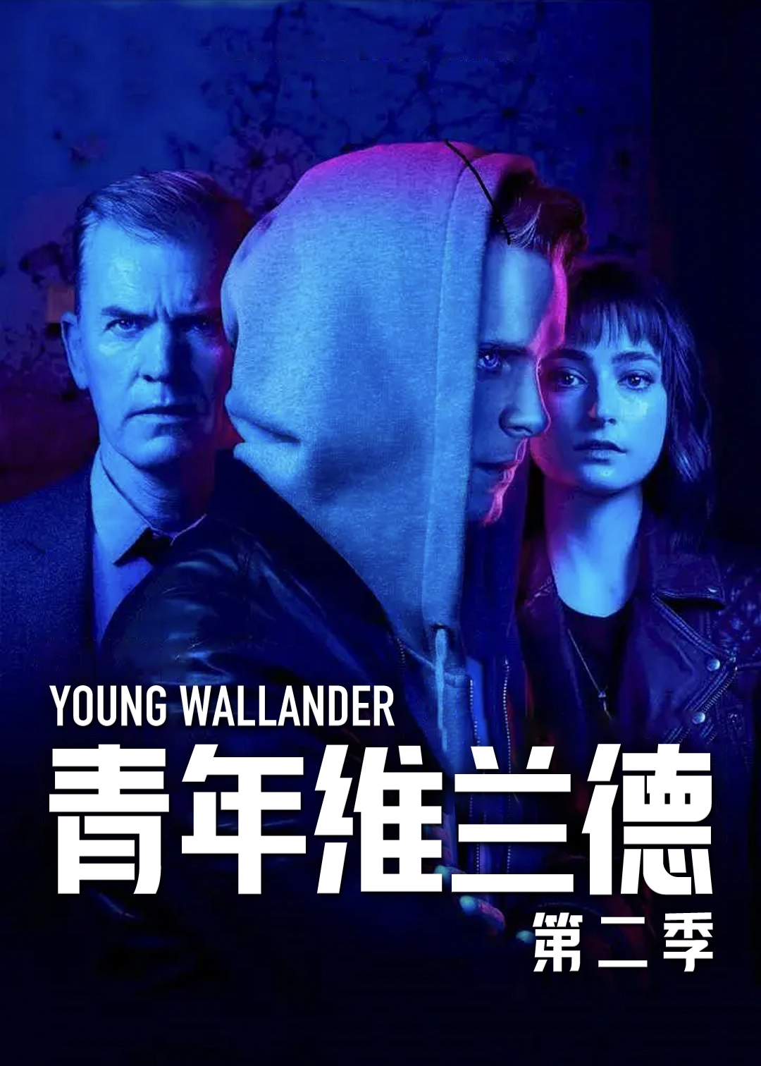 青年维兰德第2季