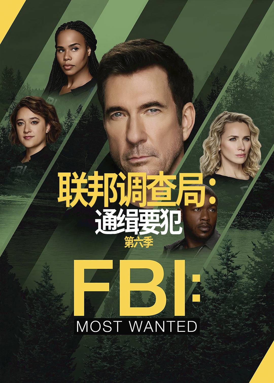 联邦调查局通缉要犯第6季