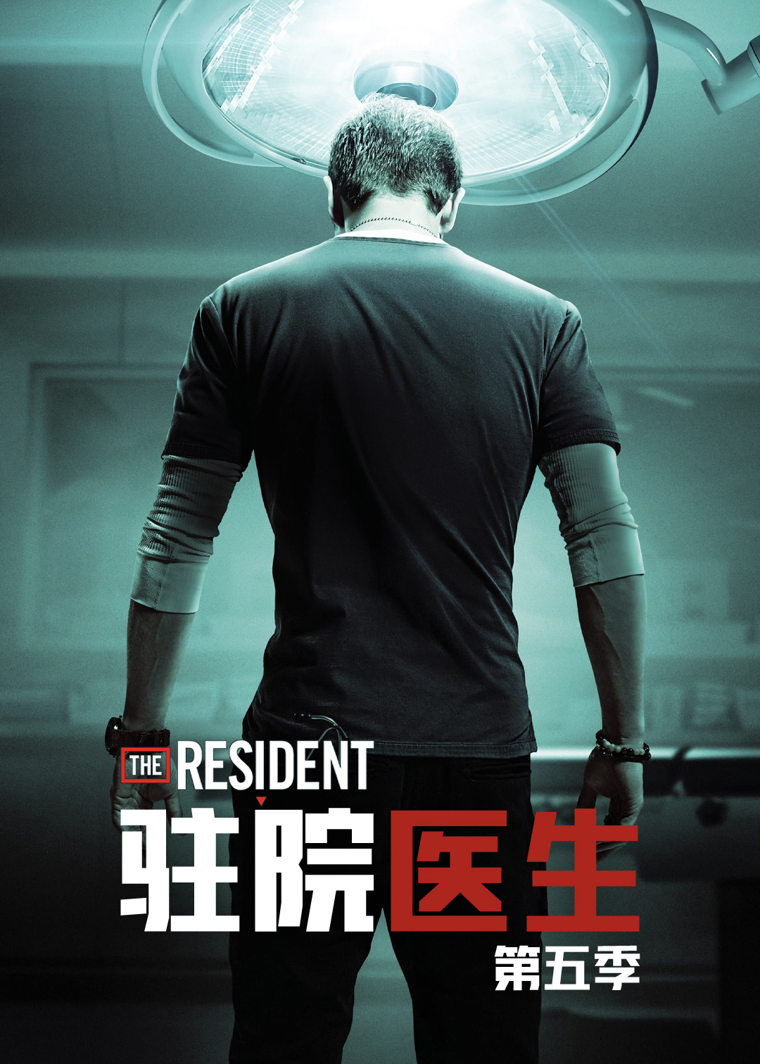 驻院医生第5季