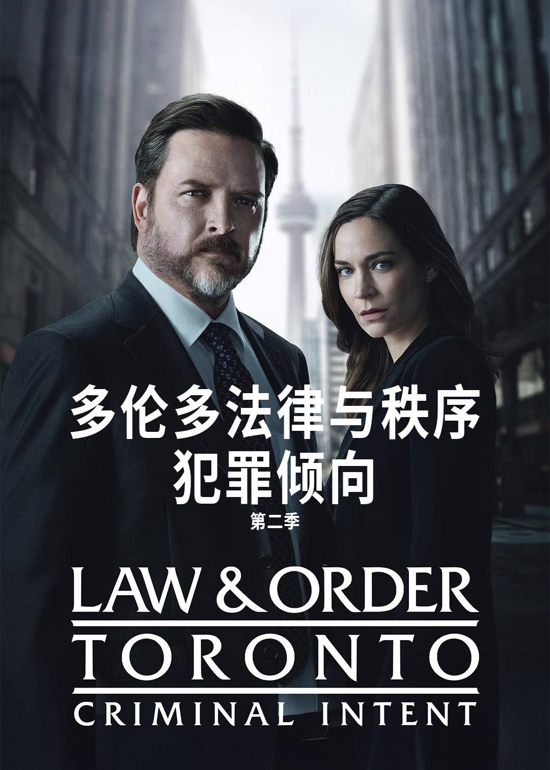 多伦多法律与秩序犯罪倾向第2季