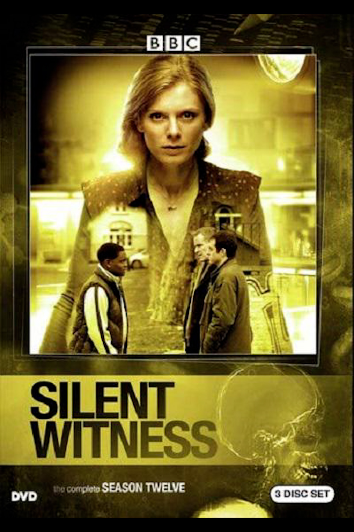 无声的证言第12季