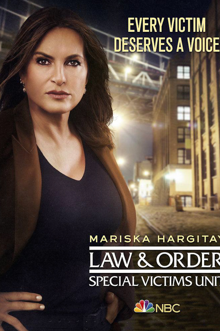 法律与秩序特殊受害者第二十二季