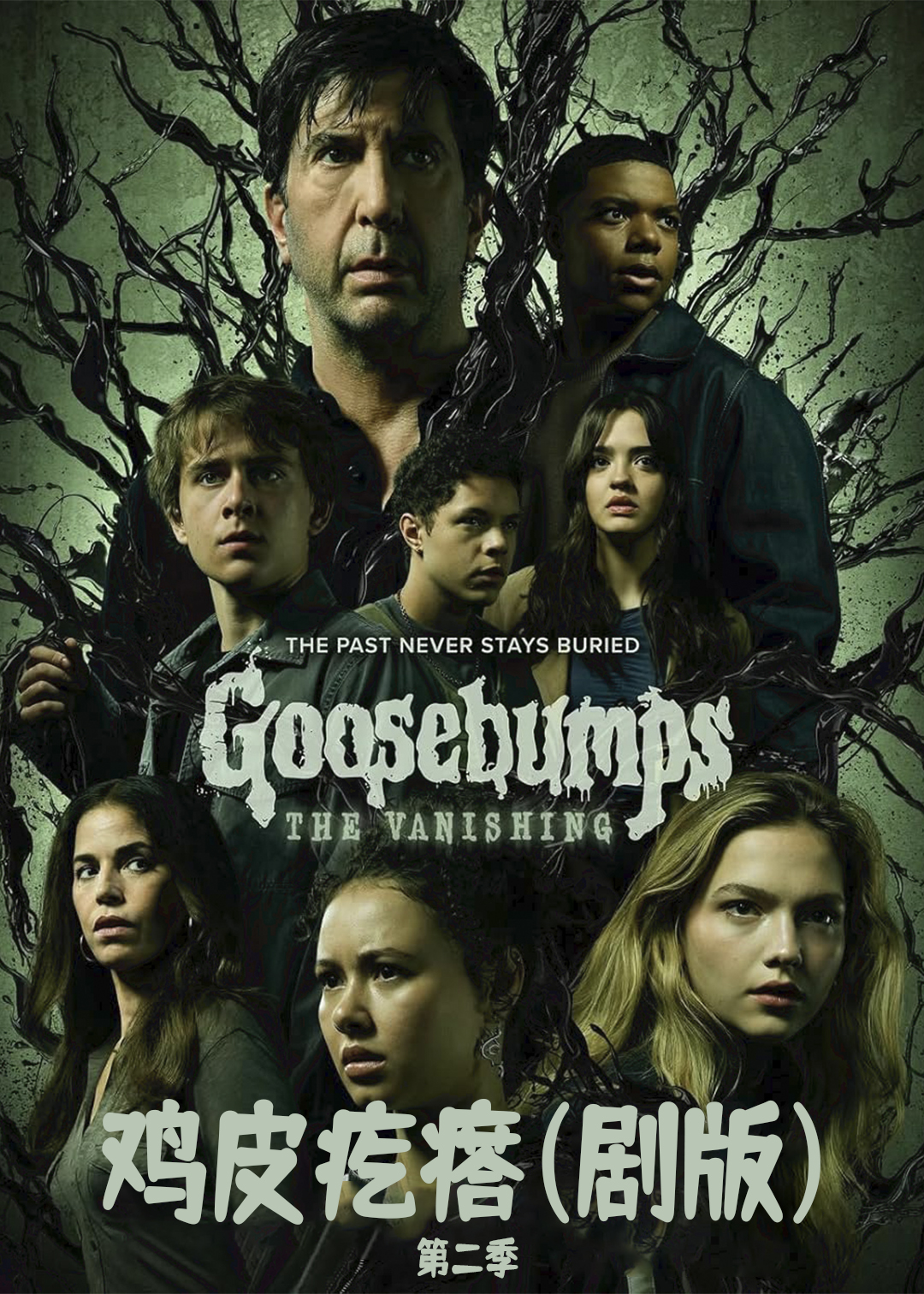 鸡皮疙瘩(剧版)第2季