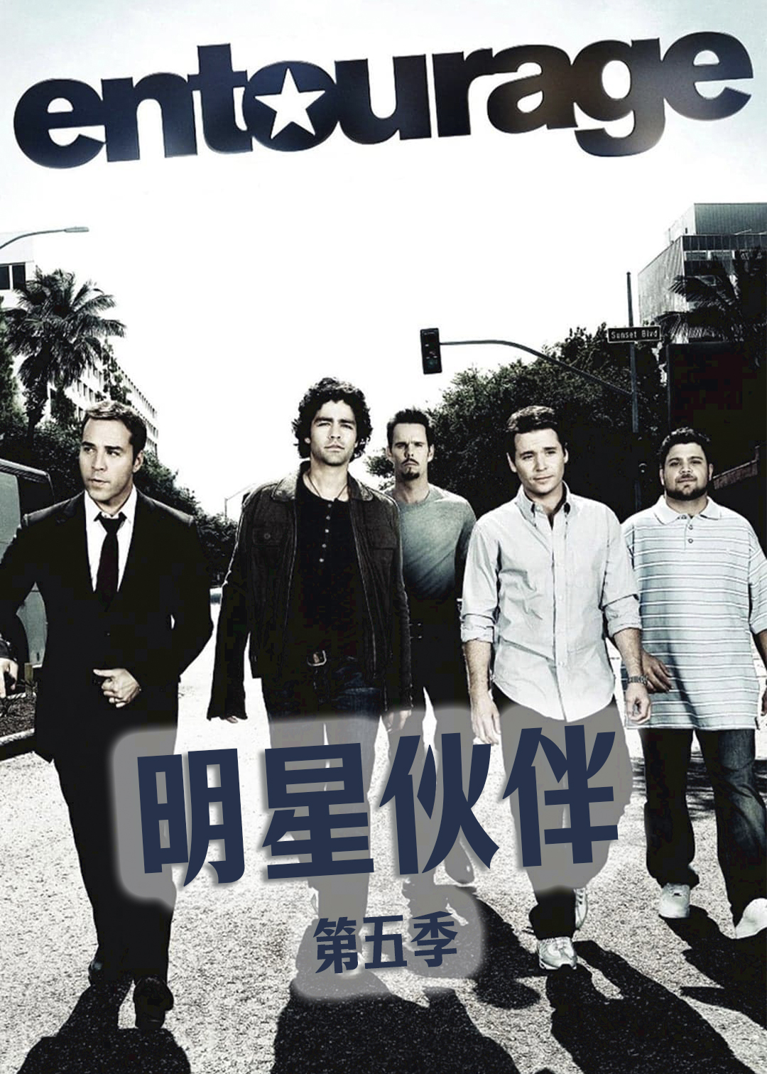 明星伙伴第5季