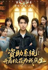 资助系统开局校花为我庆生