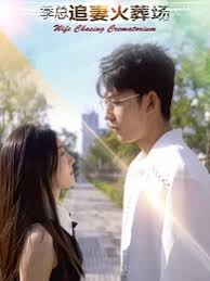 失忆后季总追妻火葬场