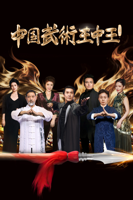 大陆武术王中王2