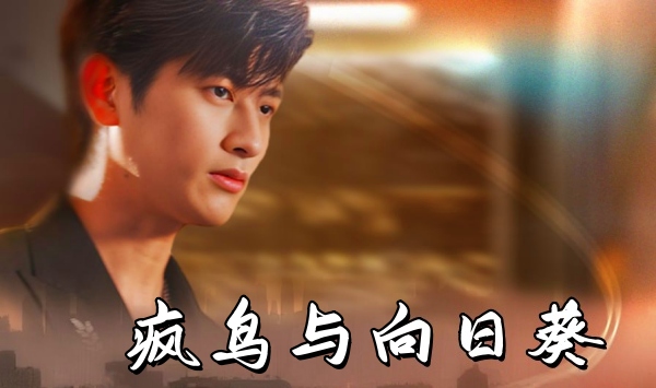 疯鸟与向日语葵