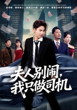 夫人别闹，我只做司机