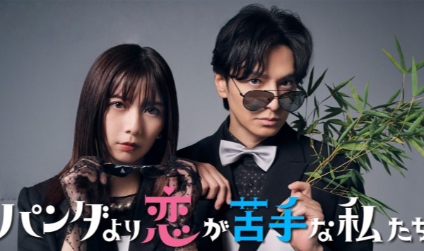 比熊猫更不擅长恋爱的我们