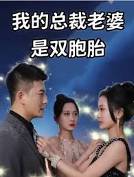 我的总裁老婆是双胞胎
