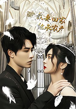 我要回家继承家产