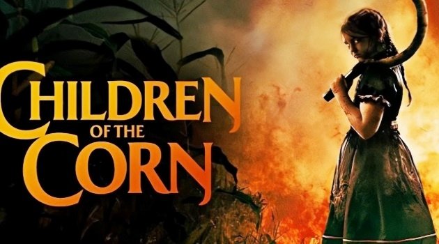 玉米地的小孩2023