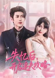 失忆后，开启追夫攻略