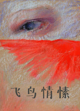 飞鸟情愫