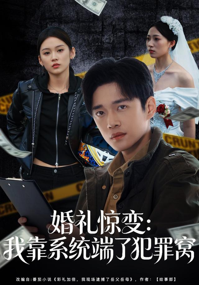 婚礼惊变我靠系统端了犯罪窝