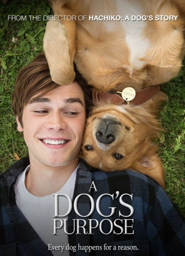 一条狗的使命国语版