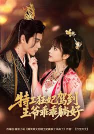 特工狂妃驾到，王爷乖乖躺好