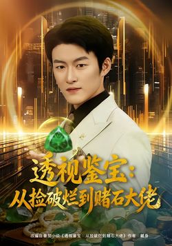 透视鉴宝从捡破烂到赌石大佬