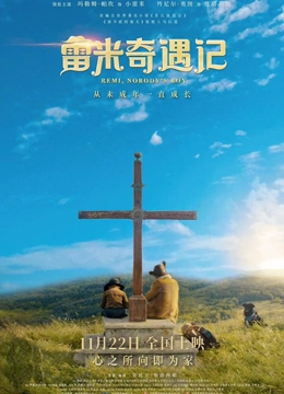 雷米奇遇记国语版