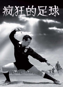 疯狂的足球（2013）