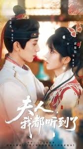 夫人，我都听到了