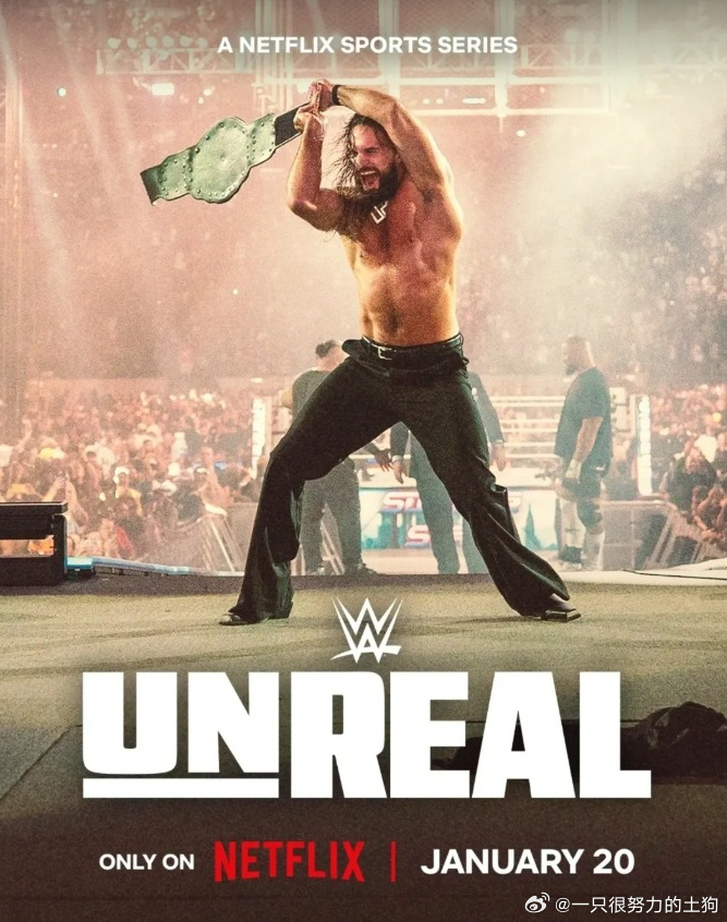 WWE幕后追踪第2季