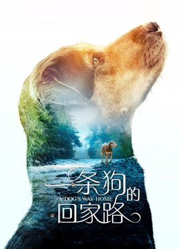一条狗的回家路国语版