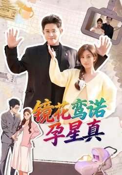 镜花鸾诺孕星真