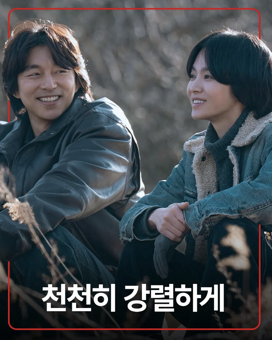 慢慢地，强烈地预告