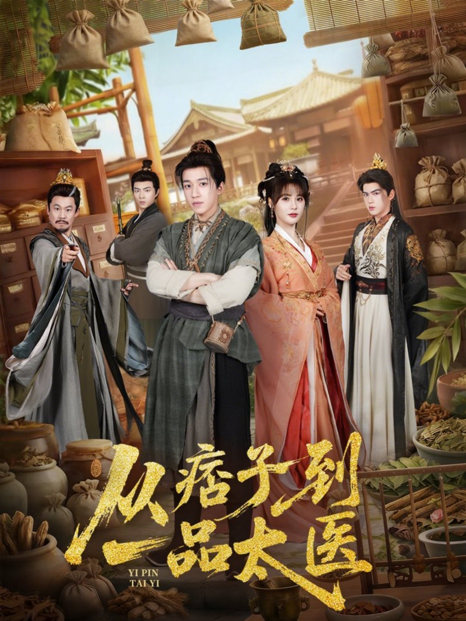 从痞子到一品太医