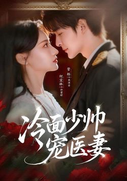 冷面少帅宠医妻