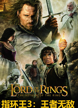 指环王3王者无敌（普通话）
